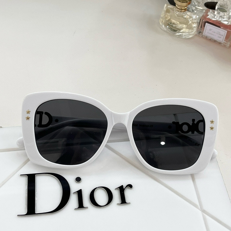 Dior Glasses smh (40)